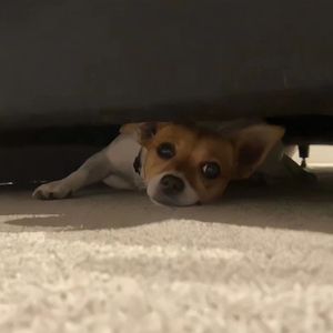 妈妈姨妈姐姐妹妹收入的小说
